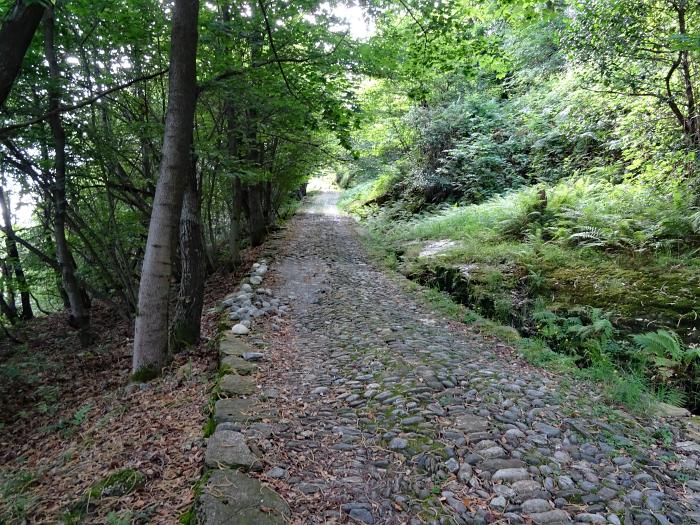 MTB 7-Seen-Cross / Transalp vom Unterallgäu zum Lago Maggiore und zum Gardasee, Strada Romana