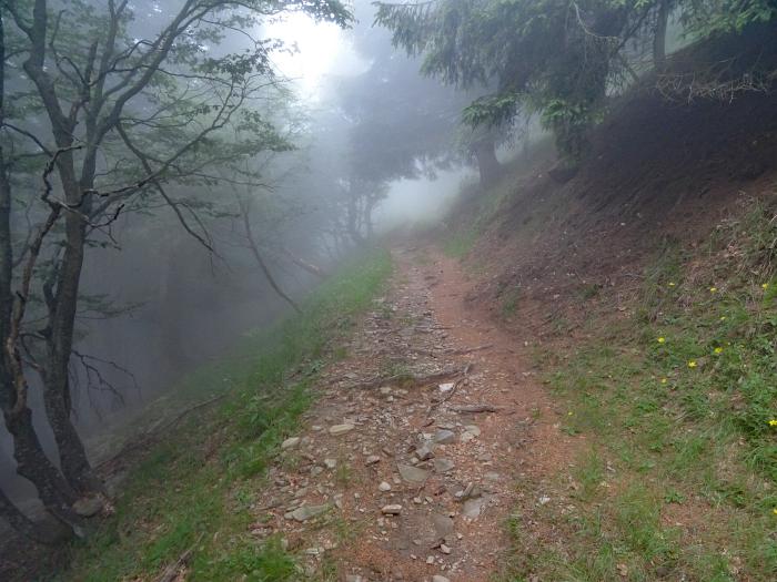 MTB 7-Seen-Cross / Transalp vom Unterallgäu zum Lago Maggiore und zum Gardasee, Mystische Stimmung