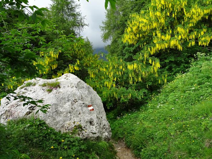 MTB 7-Seen-Cross / Transalp vom Unterallgäu zum Lago Maggiore und zum Gardasee, Wanderweg zum Passo del Branchino